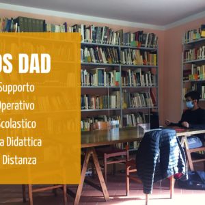 ragazzo in DAD in biblioteca