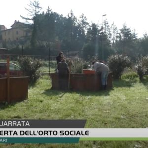 VIDEO – Orto sociale, continua il laboratorio per i ragazzi con disabilità