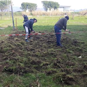 uomini zappano la terra