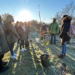 Comincia l’#effettoarboreo – Piantati i primi due alberi!