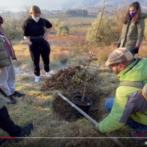 Video – Messa a dimora dei primi due alberi di Arboreo