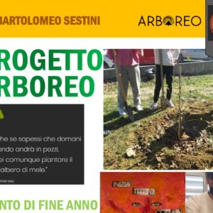 Feste di fine Arboreo nelle scuole