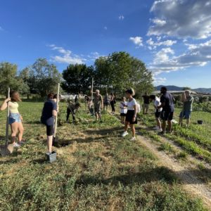 50 nuovi alberi piantati al Mollungo con il progetto Arboreo