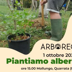 Piantiamo alberi con Arboreo! Evento posticipato a sabato 1 ottobre