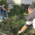 Un viaggio nel laboratorio di Orto Giardino all’Emporio Sociale